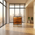 Zara Accent Cabinet