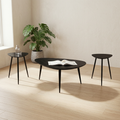 Odessa Coffee and End Table Set